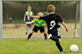Verenigingsadvies