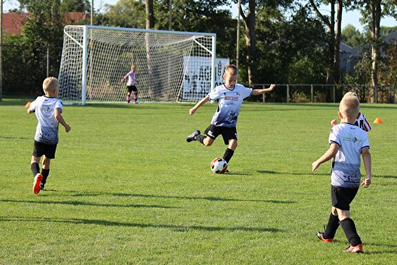 Sv Drieborg veld